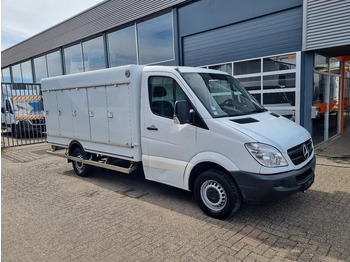 Refrigerated van MERCEDES-BENZ Sprinter 313