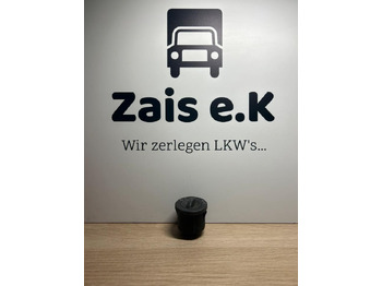 Cab and interior MAN