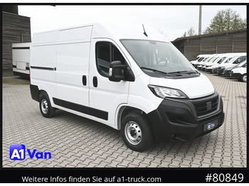 Panel van FIAT Ducato