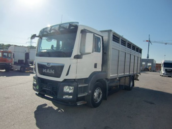 Horse truck MAN TGS