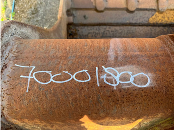 : header image