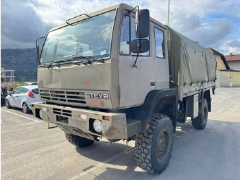 Curtainsider truck STEYR