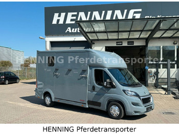 Horse truck PEUGEOT