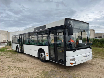 City bus MAN Lion's City A21