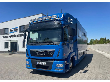 Horse truck MAN TGL 12.250