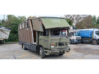 Horse truck RENAULT Midliner M 180