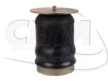 Air suspension IRISBUS