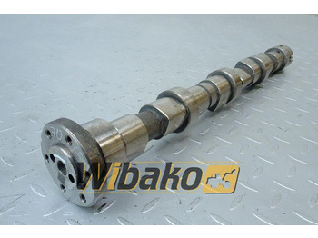 Camshaft IVECO