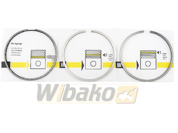 Piston/ Ring/ Bushing