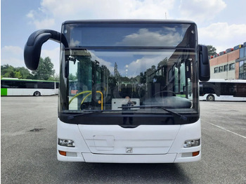 City bus Man A21: picture 2 City bus Man A21: picture 2