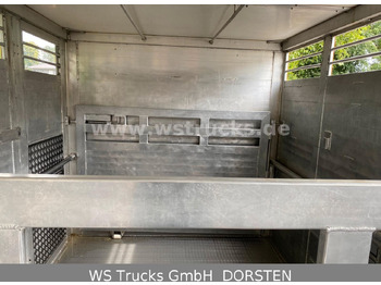 Horse truck DAF CF 400 Menke Einstock: picture 5