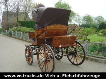 Livestock trailer Exclusiver Doktorwagen Inzahlungn. v. Pferden: picture 2