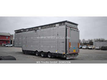 Livestock semi-trailer Pezzaioli SBA31-SR 3 Stock "Neu" Okt 2025 Viehauflieger: picture 5 Livestock semi-trailer Pezzaioli SBA31-SR 3 Stock "Neu" Okt 2025 Viehauflieger: picture 5