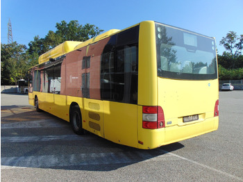 City bus N.2 MAN A21 CNG – Anno 2010: picture 5 City bus N.2 MAN A21 CNG – Anno 2010: picture 5