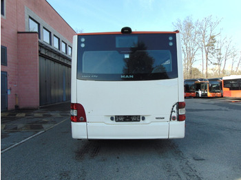 Leasing of  N.3 MAN LION’S CITY GL CNG – Anno 2014 N.3 MAN LION’S CITY GL CNG – Anno 2014: picture 5