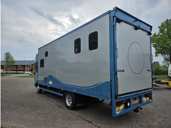 Box truck Mercedes-Benz Ecoliner 1120 Steel suspension dieselpump: picture 4