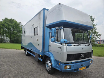 Box truck Mercedes-Benz Ecoliner 1120 Steel suspension dieselpump: picture 2