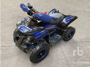 Side-by-side/ ATV