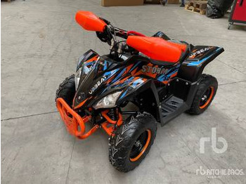 Side-by-side/ ATV