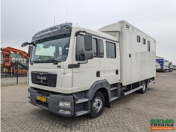 Horse truck MAN TGL 12.180 4x2 DoKa 7 pers. Euro5 EEV - Paardenwagen 2-Paards - 147.000km! - MARGE: picture 3