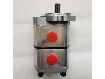 Hydraulic pump