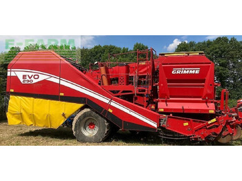 Potato harvester GRIMME