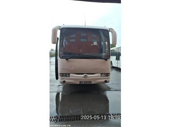 School bus IVECO