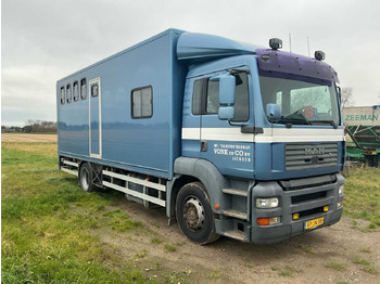 Truck 2004 MAN H09 CATTLE TRUCK: picture 2 Truck 2004 MAN H09 CATTLE TRUCK: picture 2