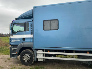 Truck 2004 MAN H09 CATTLE TRUCK: picture 5 Truck 2004 MAN H09 CATTLE TRUCK: picture 5