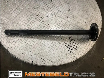 Rear axle DAF