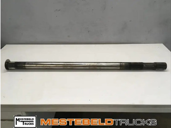 Rear axle DAF