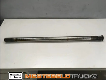 Rear axle DAF