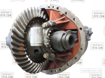 Differential gear DAF