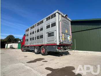 Livestock truck Volvo Fm 410 DO PRZEWOZU BYDŁA: picture 3