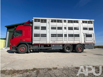 Livestock truck Volvo Fm 410 DO PRZEWOZU BYDŁA: picture 2