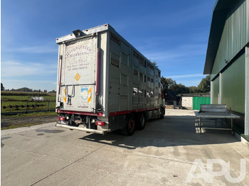 Livestock truck Volvo Fm 410 DO PRZEWOZU BYDŁA: picture 5