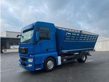 Tipper MAN TGX 18.480