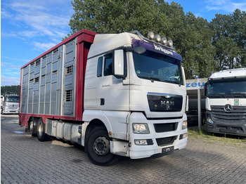 Livestock truck MAN TGX 26.400 6x2-2 LL 3 Stück Finkl Hubdach: picture 5 Livestock truck MAN TGX 26.400 6x2-2 LL 3 Stück Finkl Hubdach: picture 5