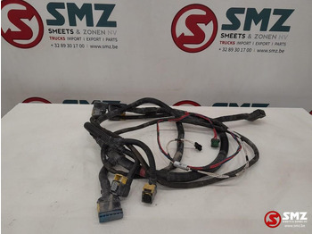 Cables/ Wire harness for Truck DAF Occ AdBlue kabelboom DAF: picture 2