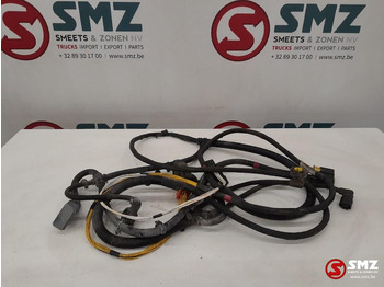 Cables/ Wire harness DAF