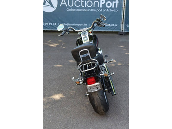 Motorcycle Harley-Davidson Softail Custom: picture 5