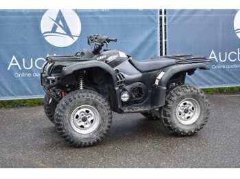 Side-by-side/ ATV Yamaha Grizzl 660 Special Edition: picture 1