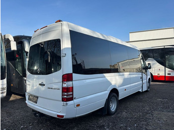 Leasing of Mercedes-Benz Sprinter Altas 516 CDi Multiline (DE*AC*Reise)  Mercedes-Benz Sprinter Altas 516 CDi Multiline (DE*AC*Reise): picture 2