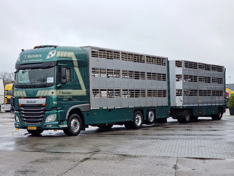 DAF XF 440 SuperSpaceCab 6x2*4 - Cuppers 1-2-3 deck Livestock + Cuppers 3 deck trailer 2009 - Livestock truck: picture 4 DAF XF 440 SuperSpaceCab 6x2*4 - Cuppers 1-2-3 deck Livestock + Cuppers 3 deck trailer 2009 - Livestock truck: picture 4