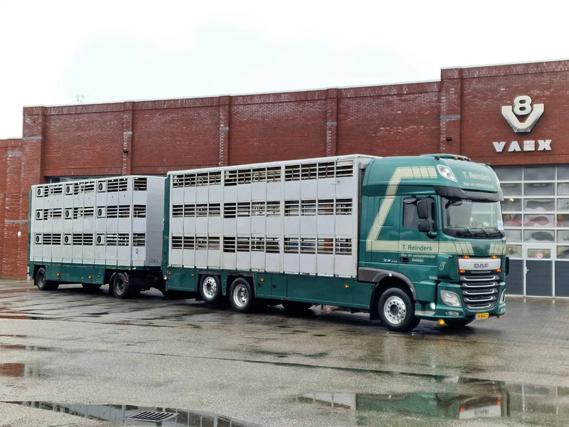 DAF XF 440 SuperSpaceCab 6x2*4 - Cuppers 1-2-3 deck Livestock + Cuppers 3 deck trailer 2009 - Livestock truck: picture 2 DAF XF 440 SuperSpaceCab 6x2*4 - Cuppers 1-2-3 deck Livestock + Cuppers 3 deck trailer 2009 - Livestock truck: picture 2