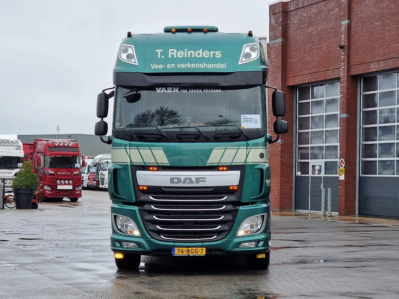 DAF XF 440 SuperSpaceCab 6x2*4 - Cuppers 1-2-3 deck Livestock + Cuppers 3 deck trailer 2009 - Livestock truck: picture 3 DAF XF 440 SuperSpaceCab 6x2*4 - Cuppers 1-2-3 deck Livestock + Cuppers 3 deck trailer 2009 - Livestock truck: picture 3