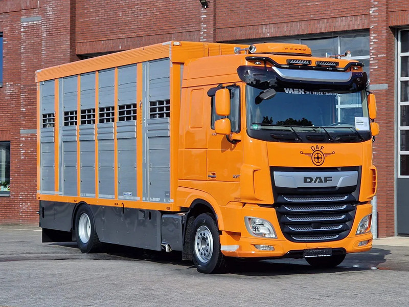 DAF XF 530 4x2 - Livestock Menke 2 deck water & ventilation - Livestock truck: picture 3 DAF XF 530 4x2 - Livestock Menke 2 deck water & ventilation - Livestock truck: picture 3