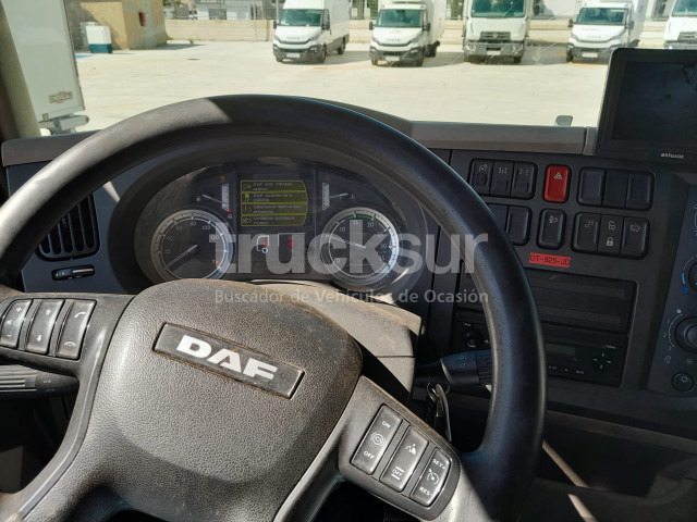 Refrigerator truck DAF LF 310 FA FRC: picture 12