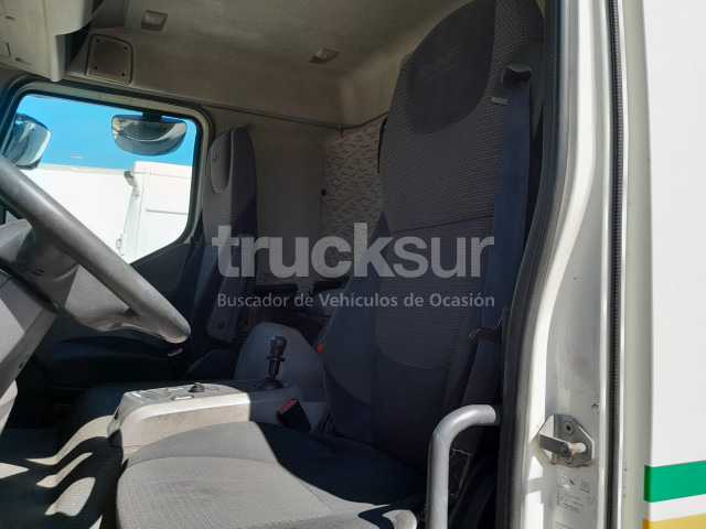 Refrigerator truck DAF LF 310 FA FRC: picture 6