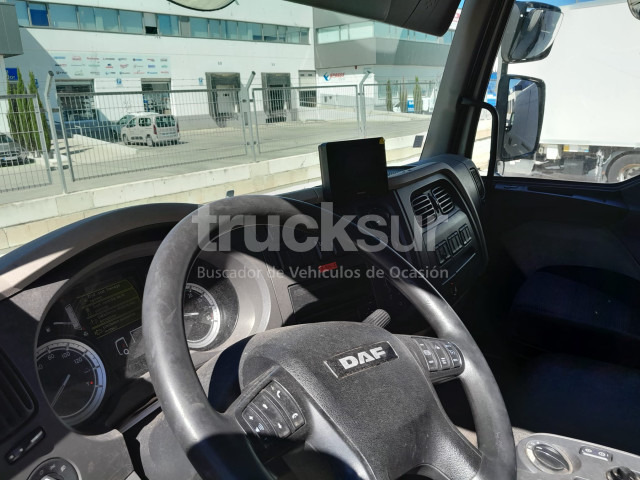 Refrigerator truck DAF LF 310 FA FRC: picture 9